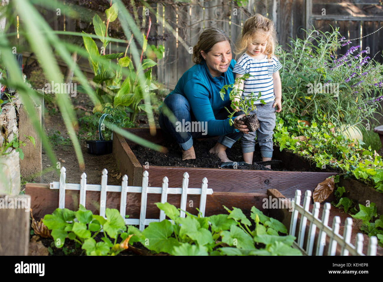 Madre caucasica che insegna giardinaggio a figlia Foto Stock