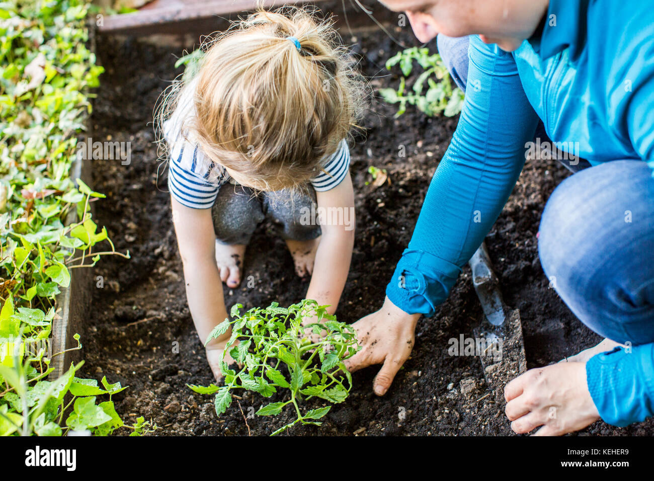 Madre caucasica che insegna giardinaggio a figlia Foto Stock