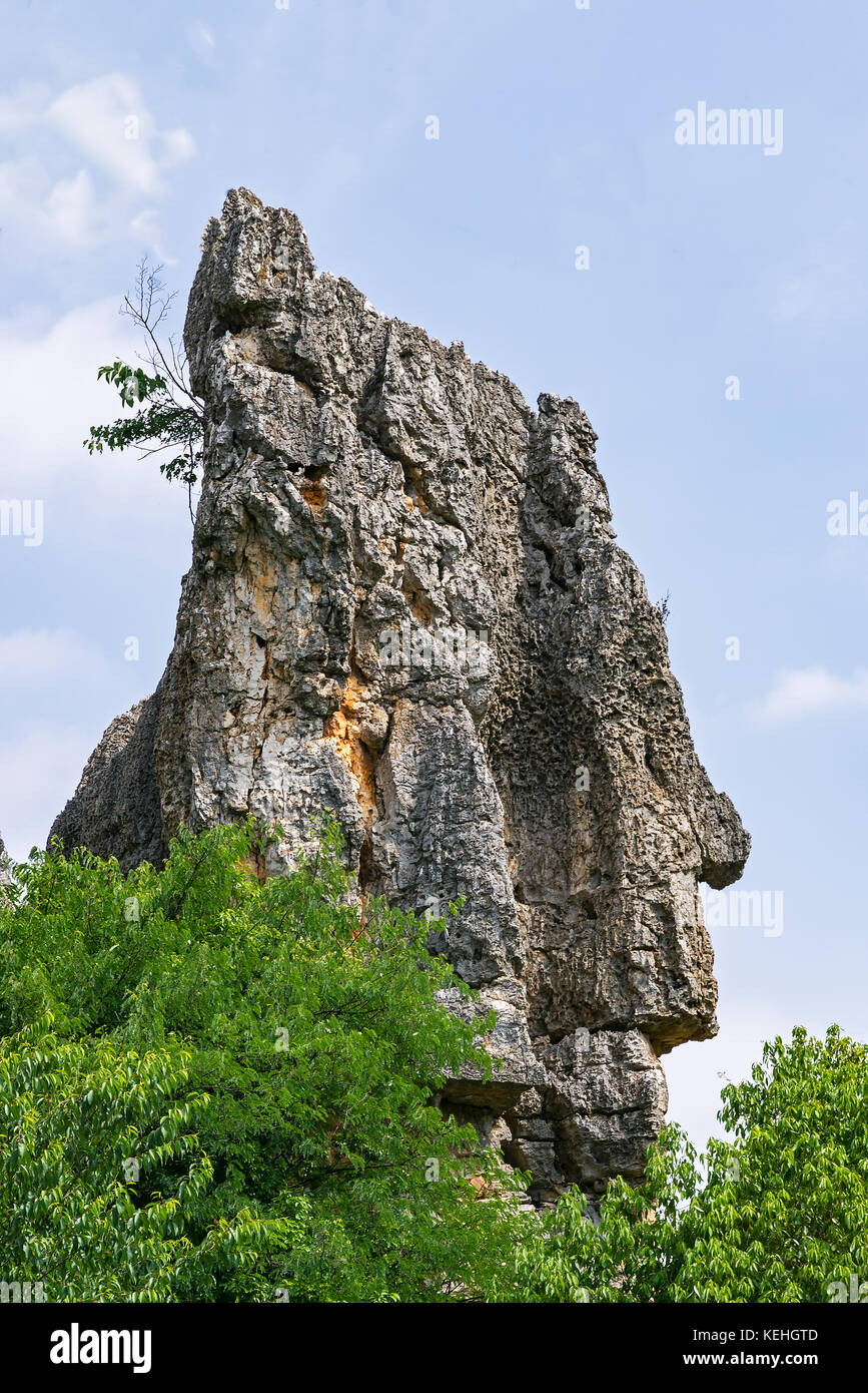 Naigu Shilin pinnacoli di calcare la Foresta di Pietra - Provincia di Yunnan - Cina Foto Stock