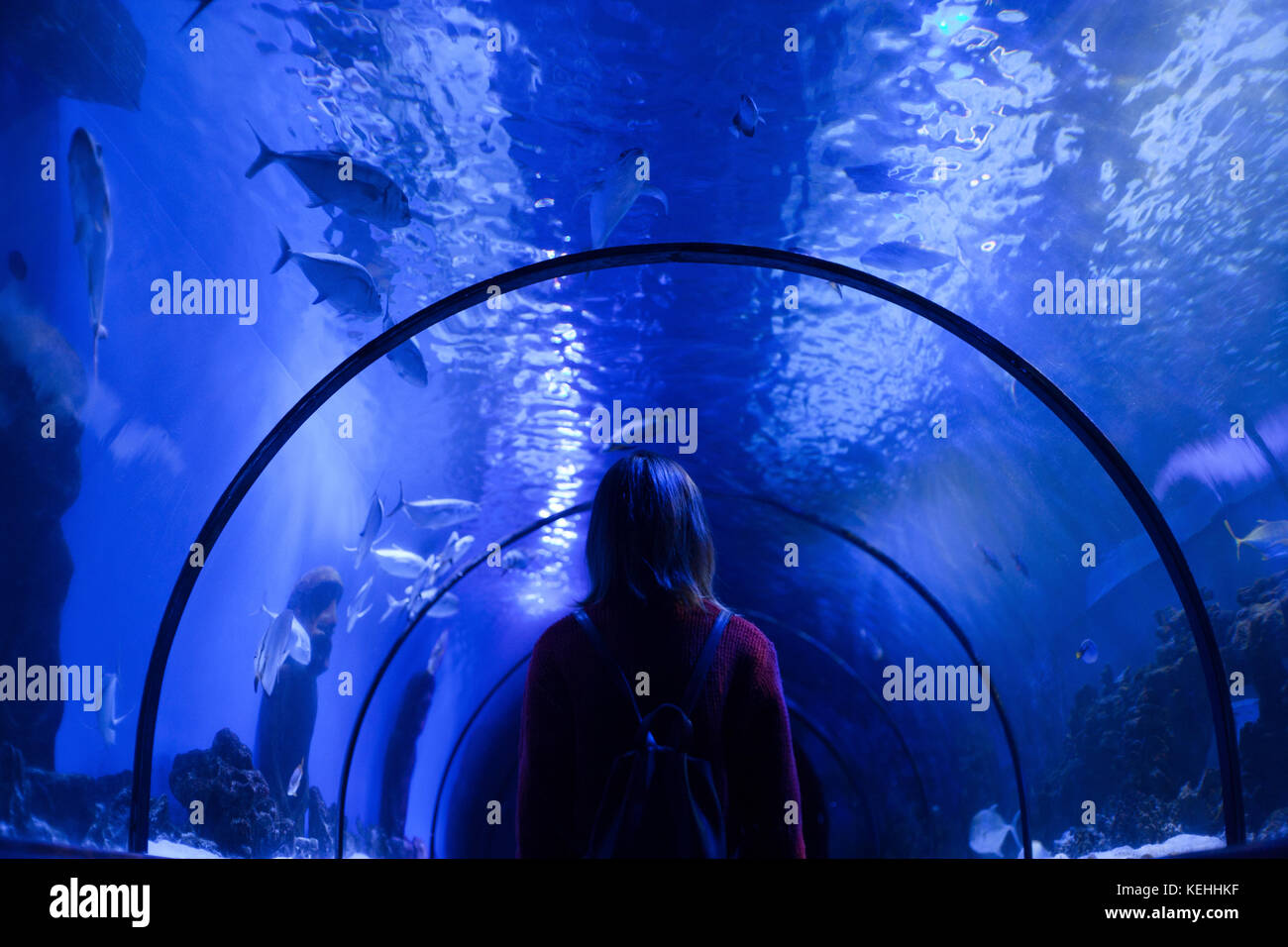 Donna caucasica che ammira il pesce in acquario Foto Stock