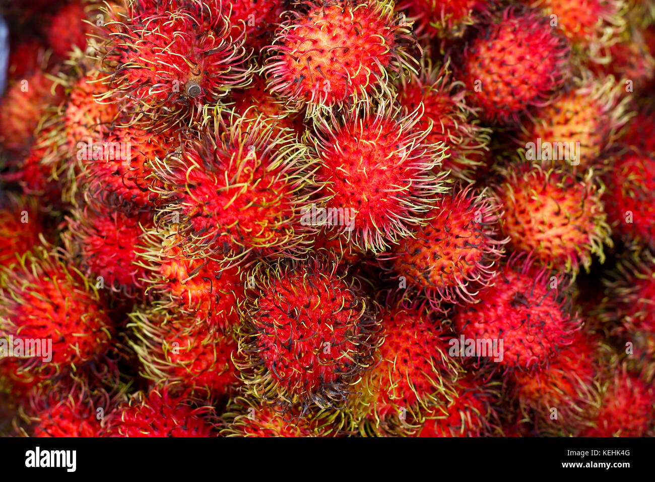 Pila di frutta rossa spinosa Foto Stock