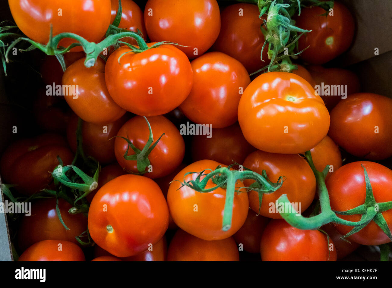 Cumulo di pomodori su gambi Foto Stock