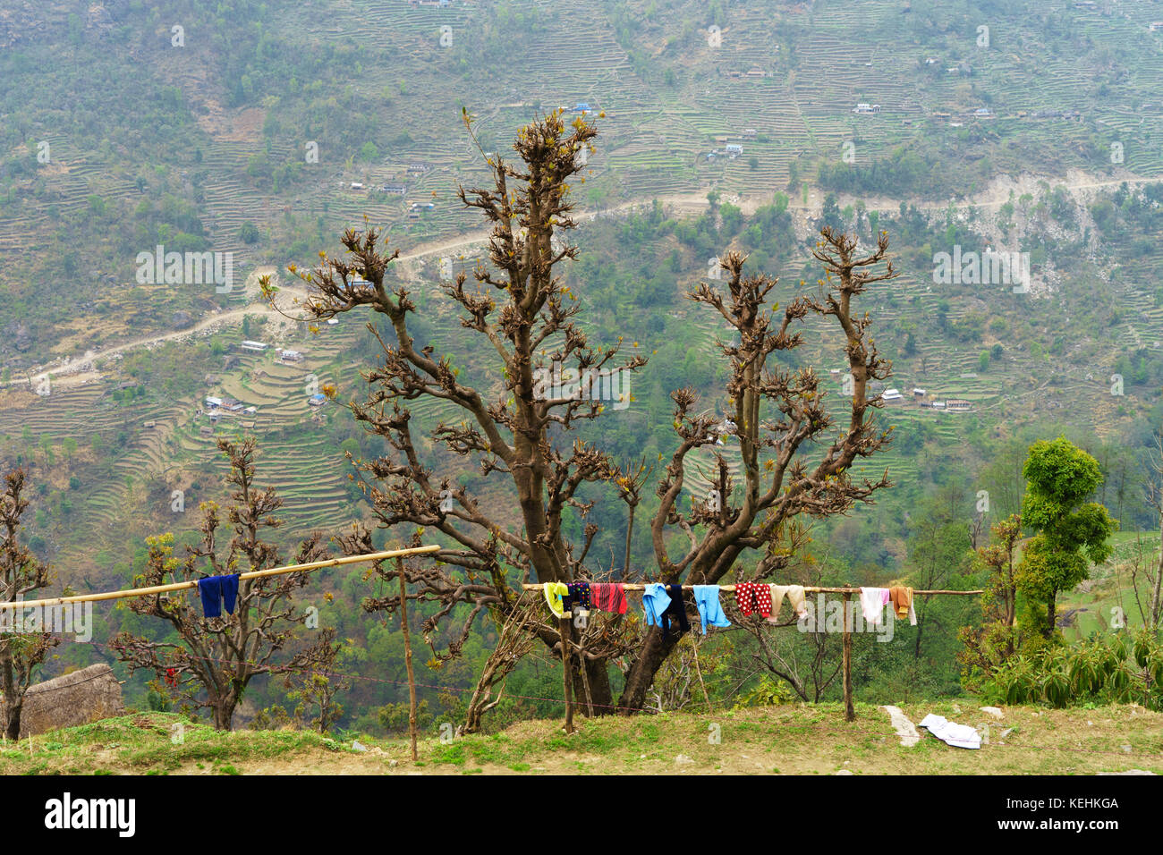 Servizio lavanderia essiccazione su un palo di legno in Landruk, regione di Annapurna, Nepal. Foto Stock