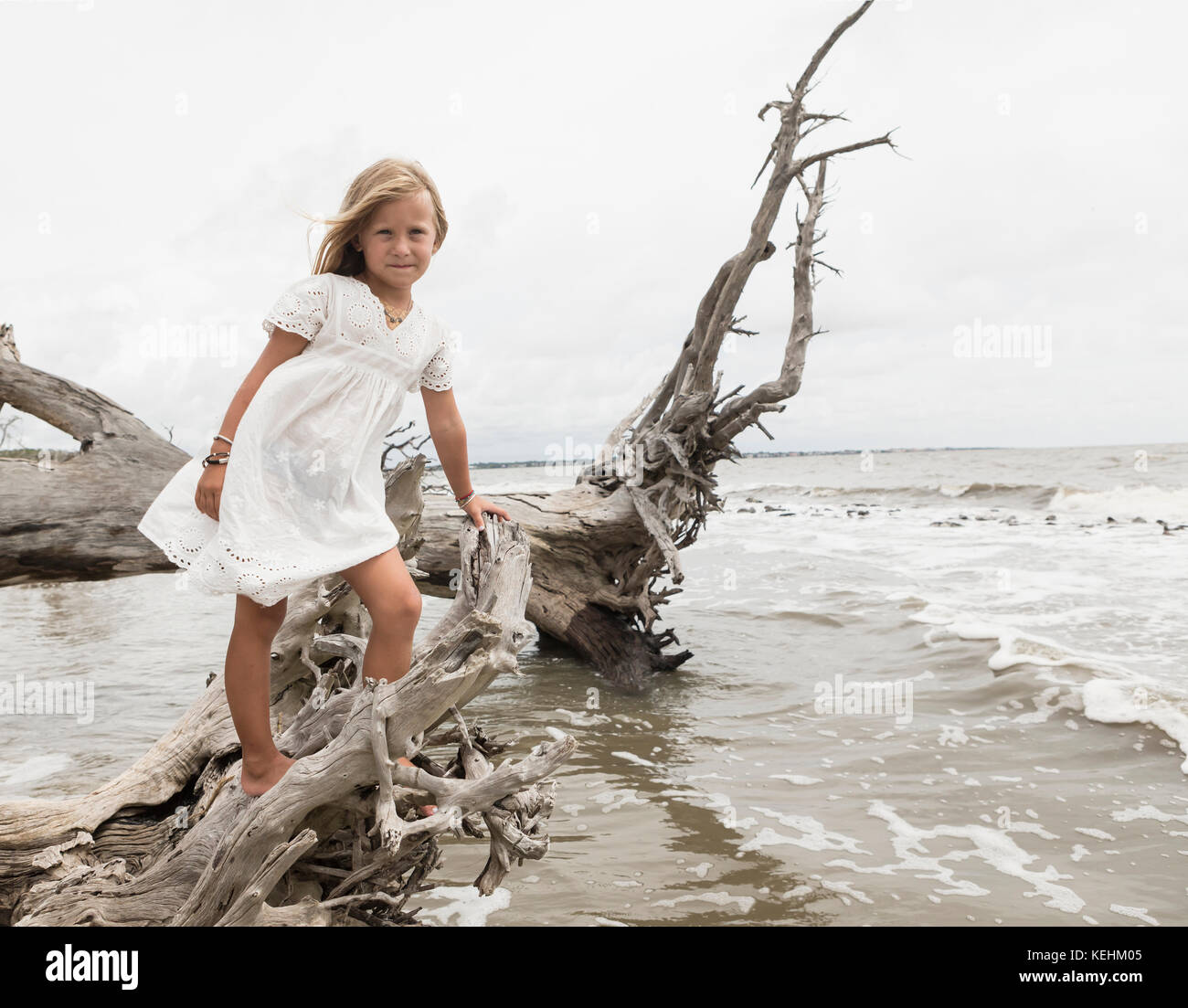 Caucasica ragazza posando su driftwood alla spiaggia Foto Stock