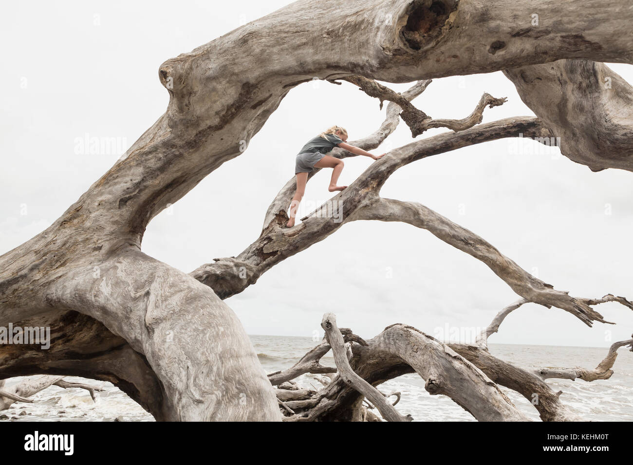 Caucasica ragazza che arrampica su driftwood sulla spiaggia Foto Stock