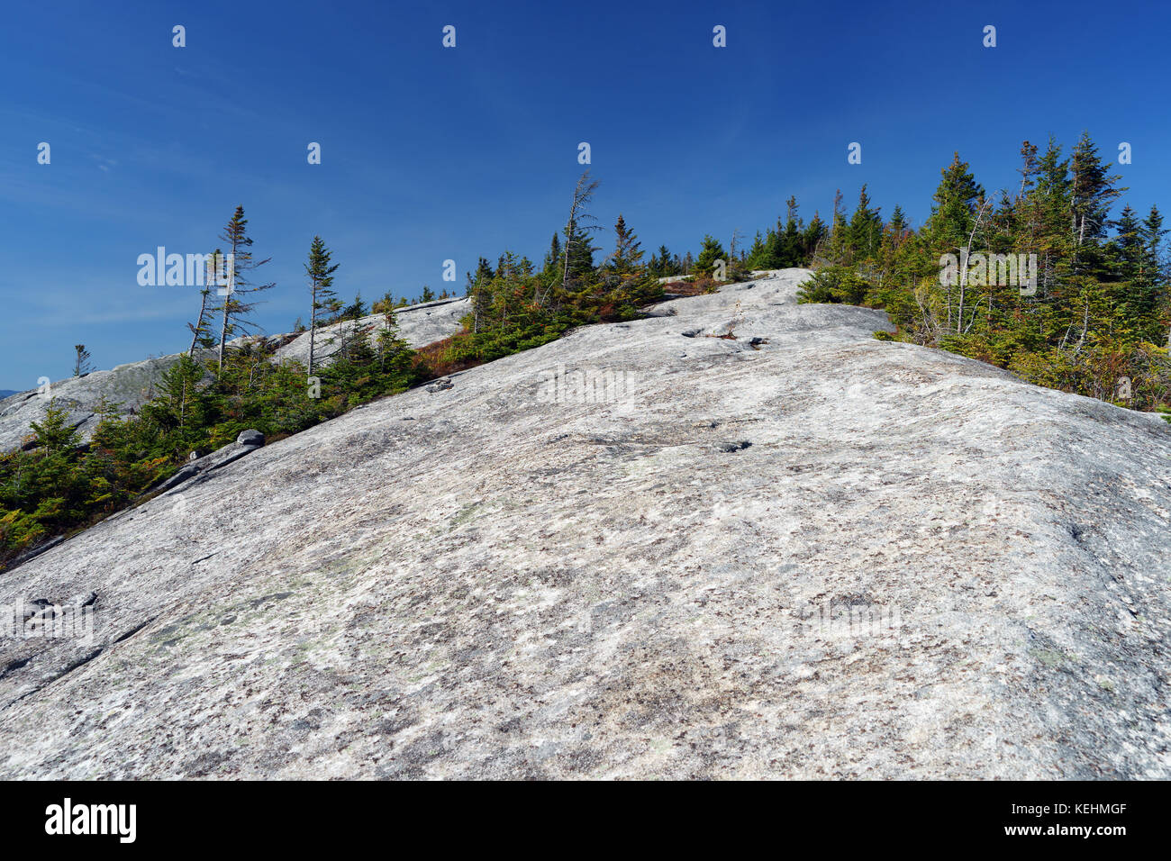 Cresta rocciosa che porta al Monte Jay, Adirondacks, nello stato di New York, Stati Uniti d'America. Foto Stock