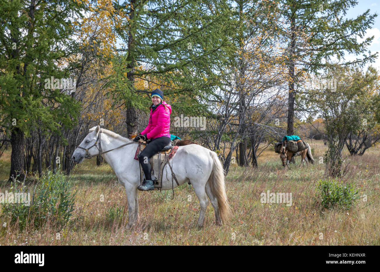 Giovane donna su un cavallo viaggiando attraverso la taiga nel nord della Mongolia Foto Stock