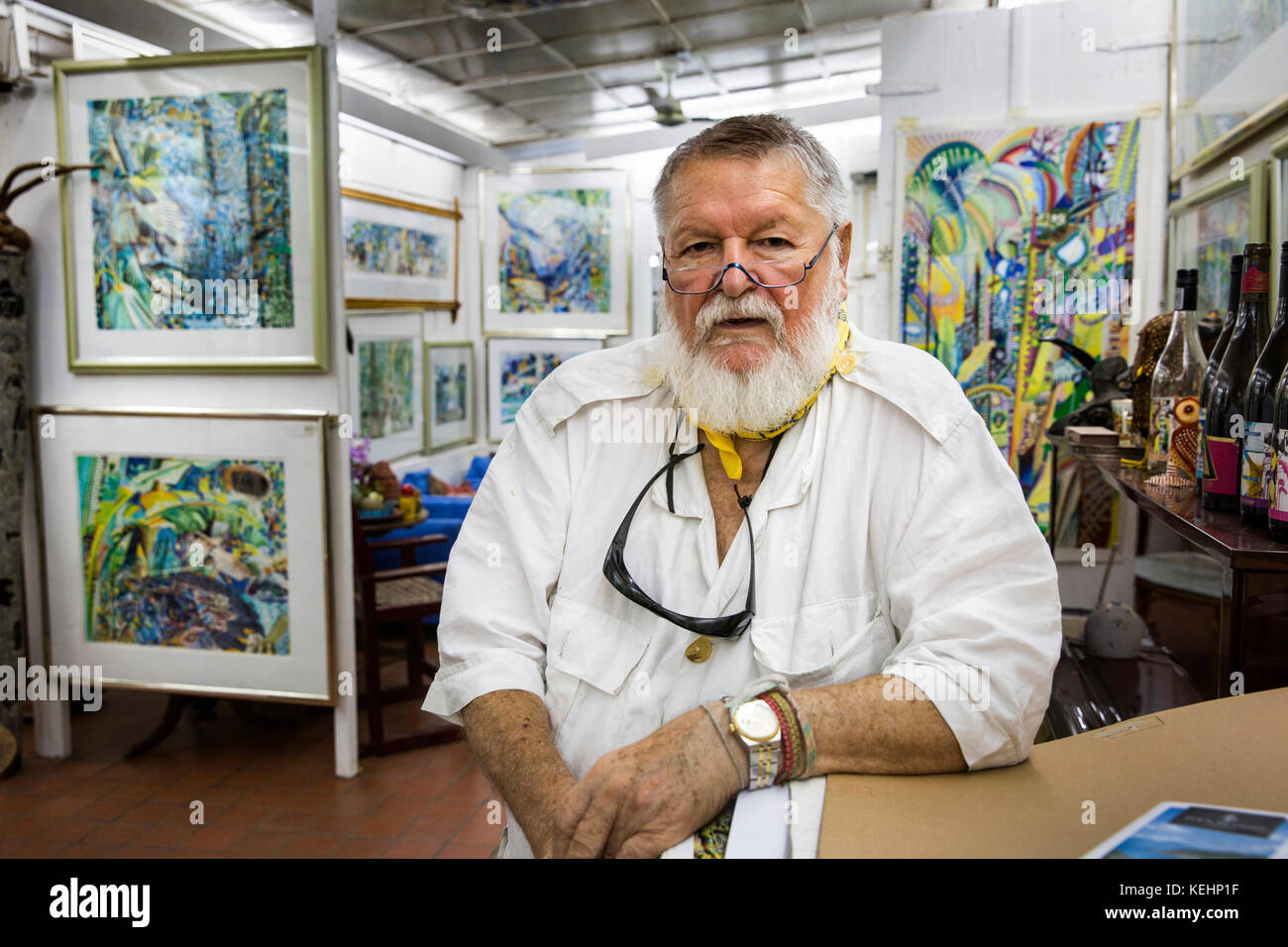 La Seychelles, Mahe, Baie Lazare, Anse aux Poules Bleues, artista Michael Adams MBE nella sua galleria Foto Stock