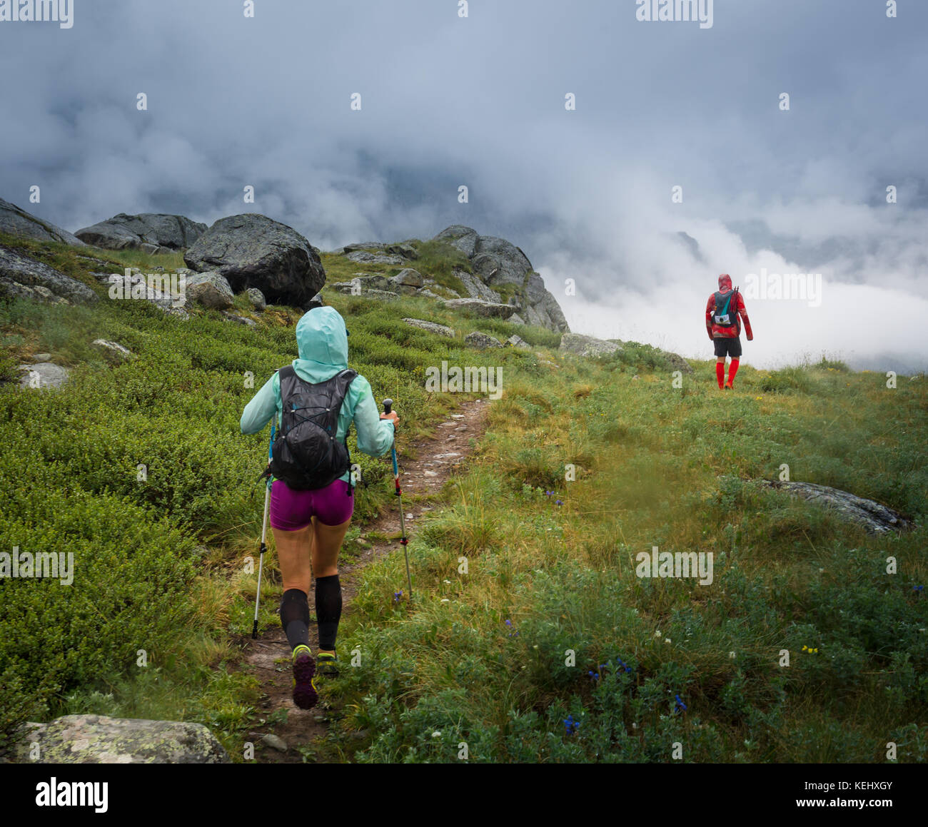 Un gruppo di atleti in un giorno di pioggia corre lungo il percorso verso la nebbia. degli Altai, Russia. Foto Stock