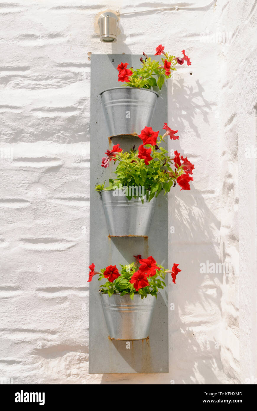 Parete verticale piantatrice di piccole piante fiorite al di fuori su di un muro bianco in Grecia Foto Stock