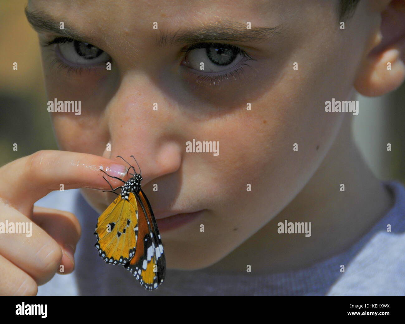 Un giovane ragazzo e una farfalla monarca Foto Stock