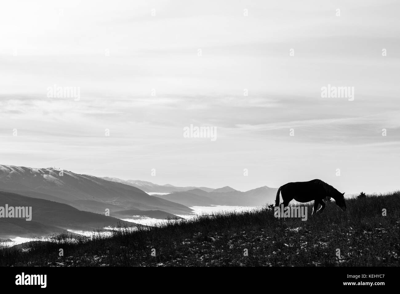 Un cavallo con retroilluminazione, mangiare erba, sulla cima di una montagna, con alcuni lontani e Misty Mountains sullo sfondo Foto Stock