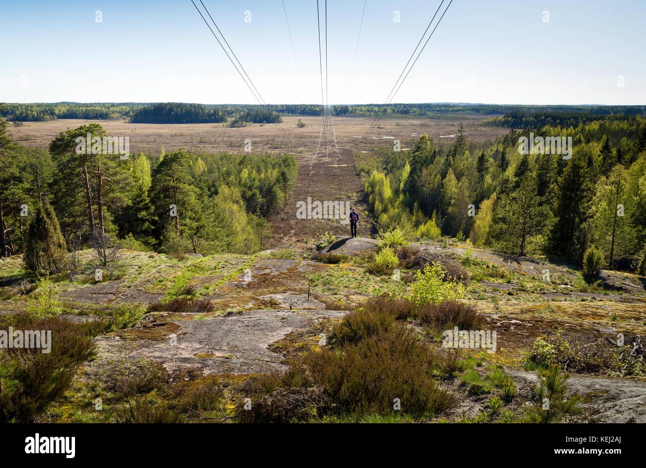 Piccolo uomo guarda la vasta bog paesaggio sotto i cavi elettrici in Valkmusa, Finlandia Pyhtää Foto Stock
