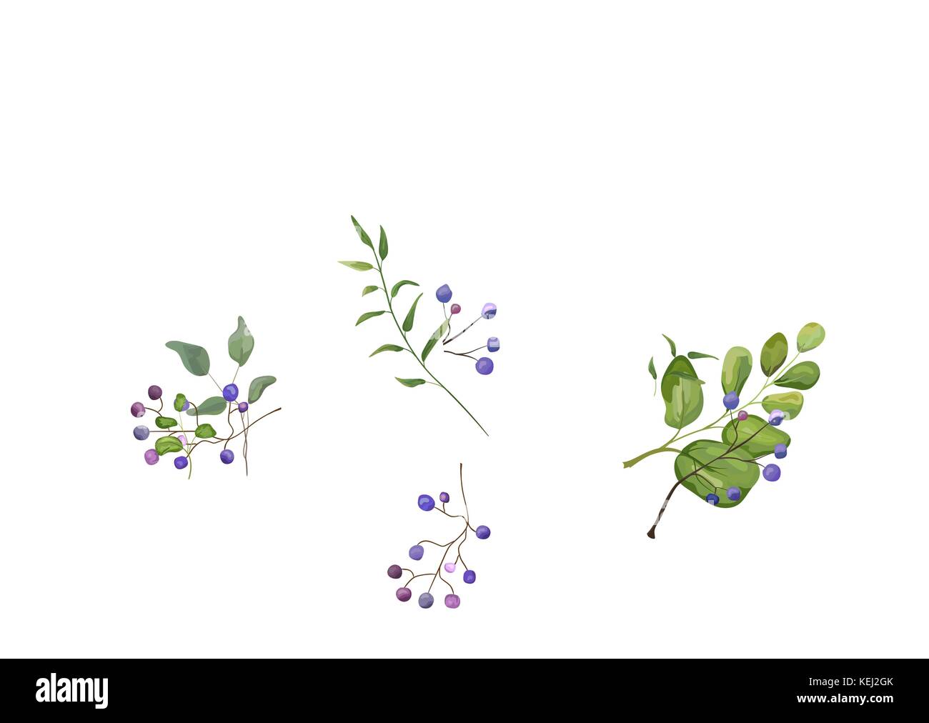 Scheda vettore design con succulenti di piante e fiori berry & erbe mix foglia acquerello disegnato a mano bouquet di bellezza. elegante cartolina arte verde invitare incantevole Illustrazione Vettoriale