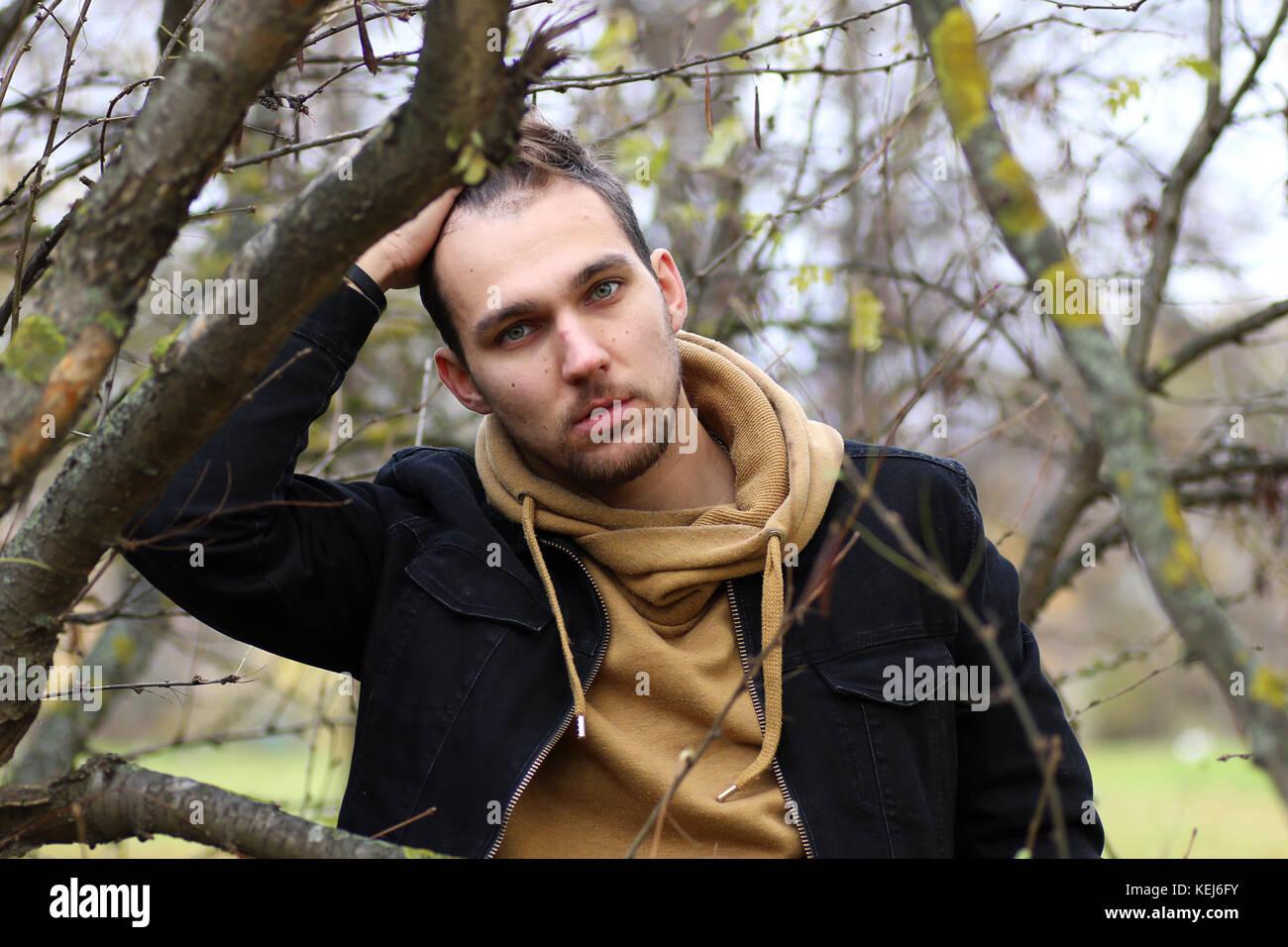 Barba giovane uomo in autunno Foto Stock