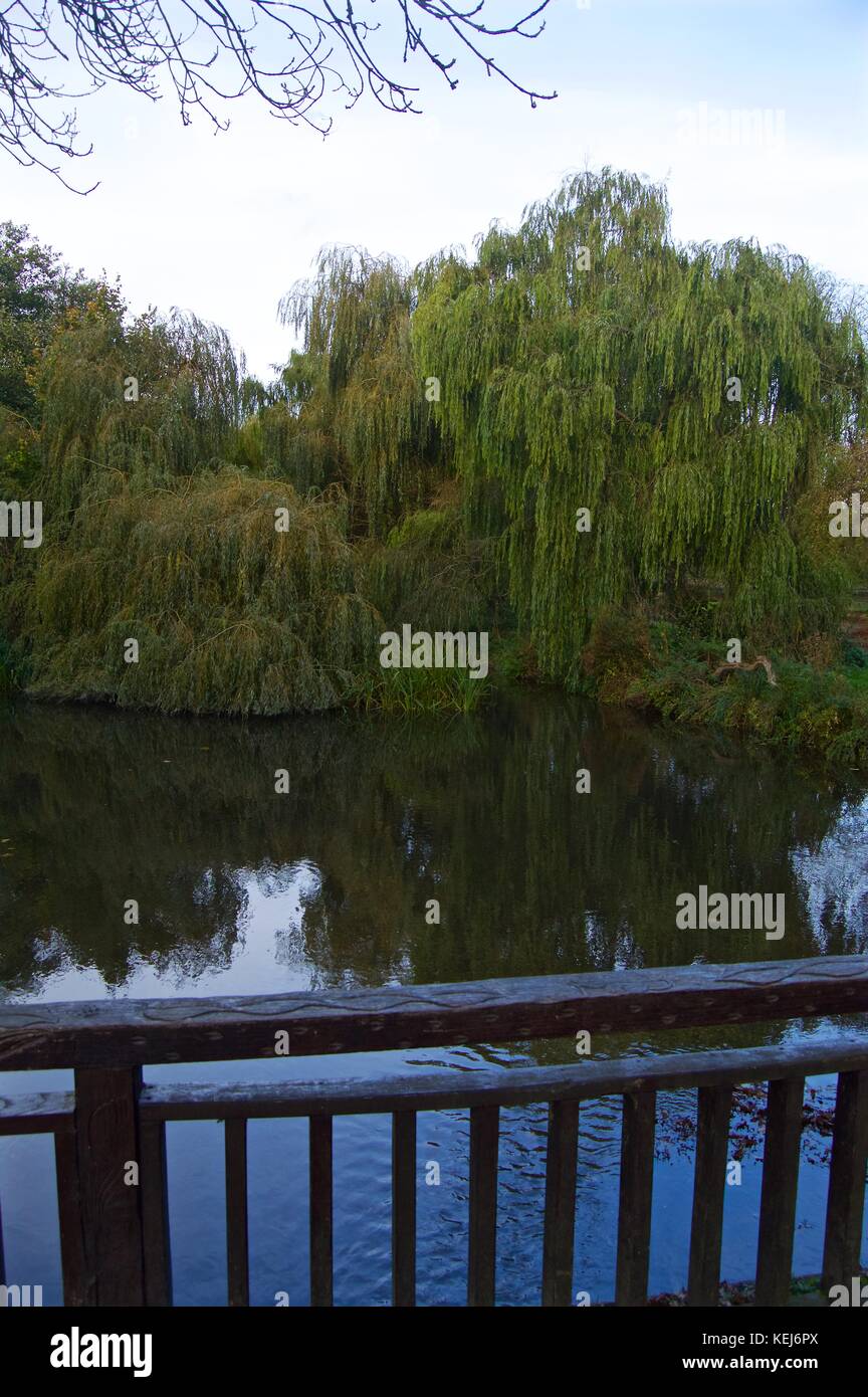 Fiume gade in autunno, cassiobury park, WATFORD REGNO UNITO Foto Stock