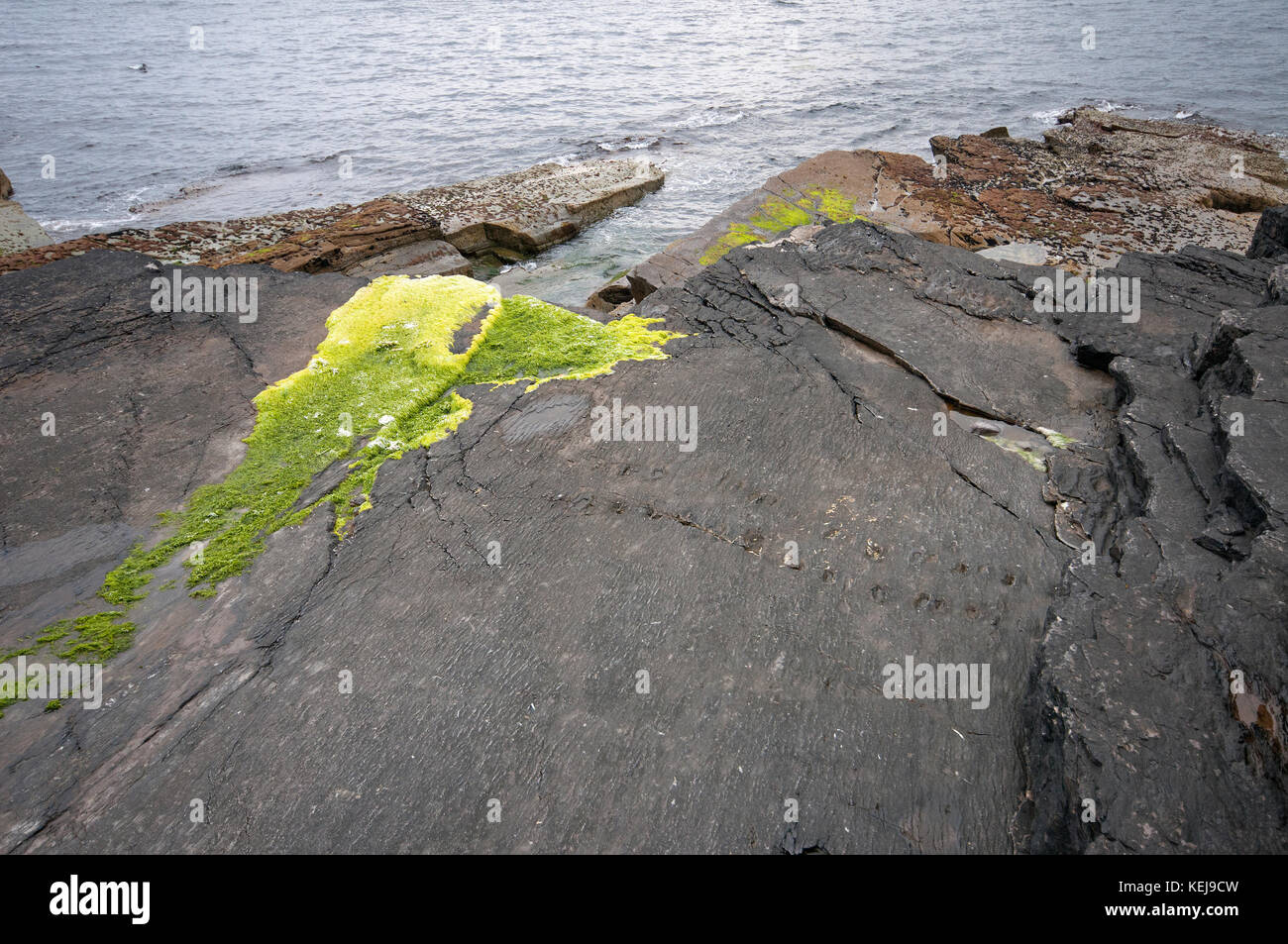 Tetrapod pista nell' isola Valentia, nella contea di Kerry, Irlanda Foto Stock