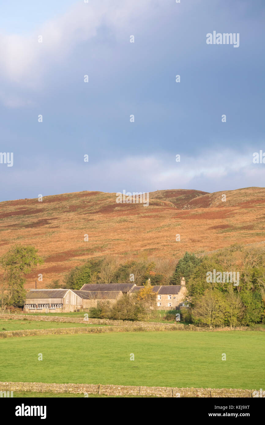 Un cascinale in remoto al di sotto del Vallo di Adriano in prossimità di due volte prodotta, Northumberland, England, Regno Unito Foto Stock