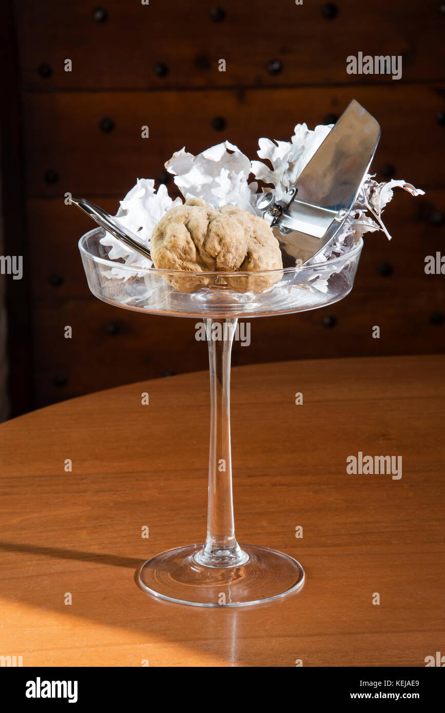 Meraviglioso tartufo bianco in un bicchiere di vetro con piedistallo, con tartufi tagliati in argento di acciaio, sul tavolo di legno, dal Langhe Alba in piemonte italia. Foto Stock