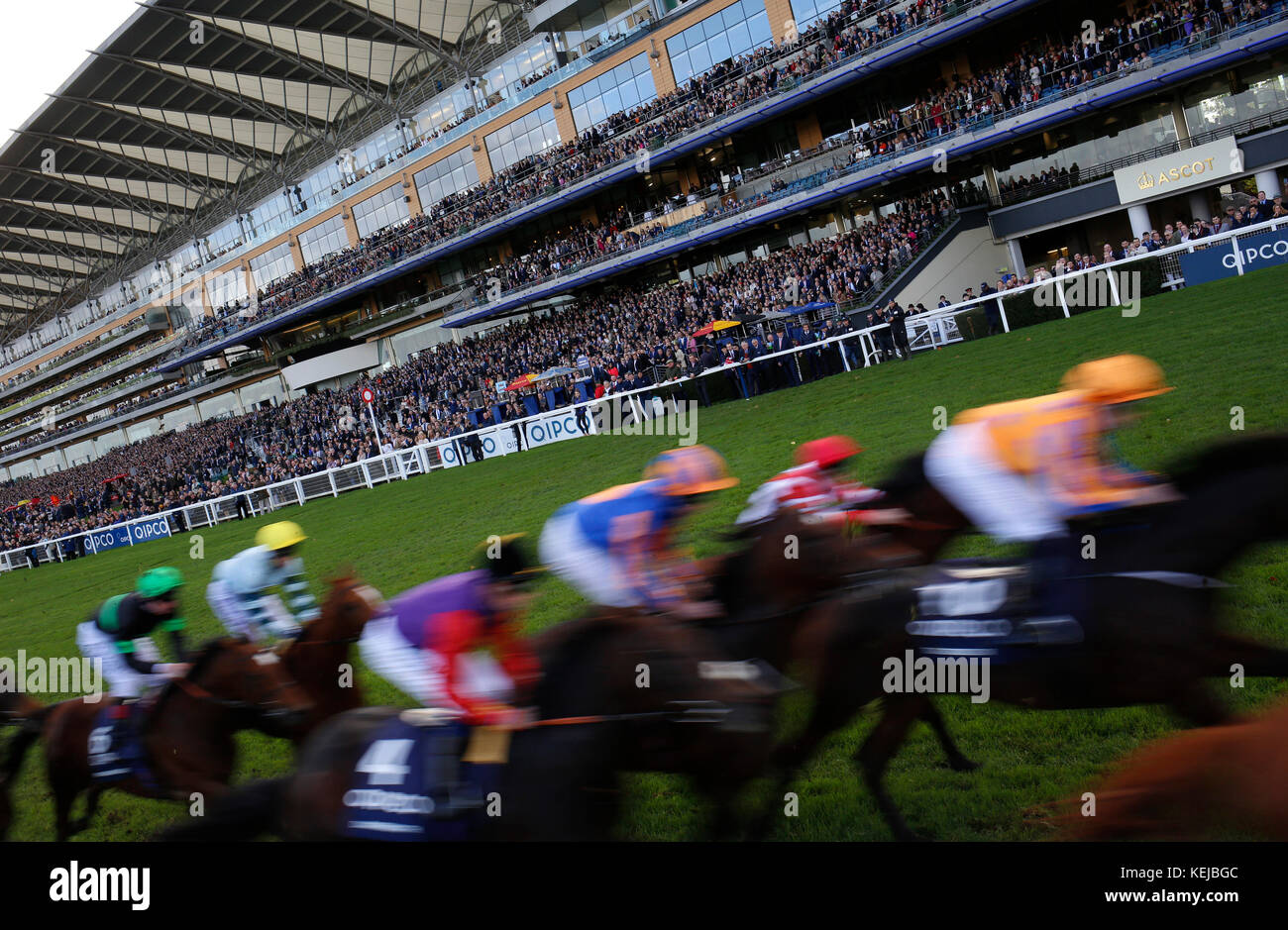 I corridori passano gli stand per la prima volta durante la gara QIPCO British Champions Long Distance Cup durante la Qipco British Champions Day all'Ascot Racecourse. PREMERE ASSOCIAZIONE foto. Data foto: Sabato 21 ottobre 2017. Guarda la storia DI PA RACING Ascot. Il credito fotografico dovrebbe essere: Julian Herbert/PA Wire. RESTRIZIONI: Utilizzo soggetto a restrizioni. Solo per uso editoriale, non per uso commerciale o promozionale. Nessuna vendita privata. Foto Stock