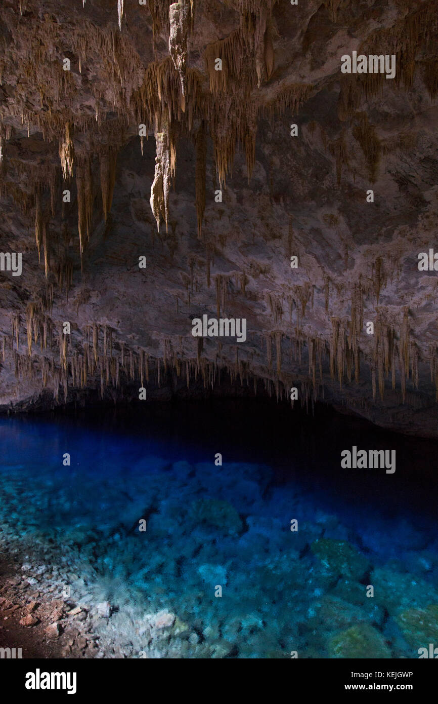 Gruta do Lago Azul a Bonito - Mato Grosso do sul, Brasile Foto Stock