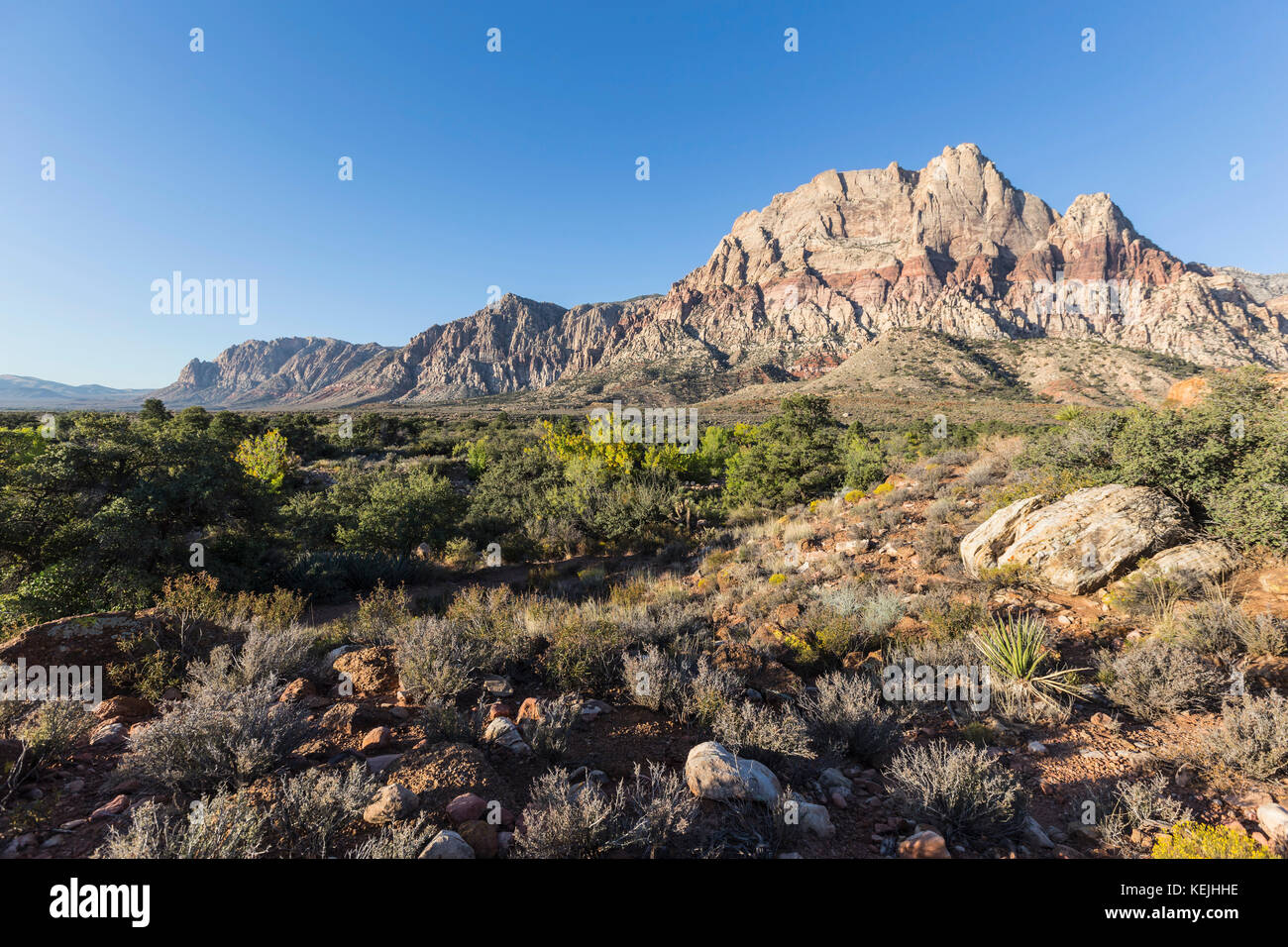 Vista del monte Wilson al Red Rock Canyon National Conservation area vicino a Las Vegas, Nevada. Foto Stock