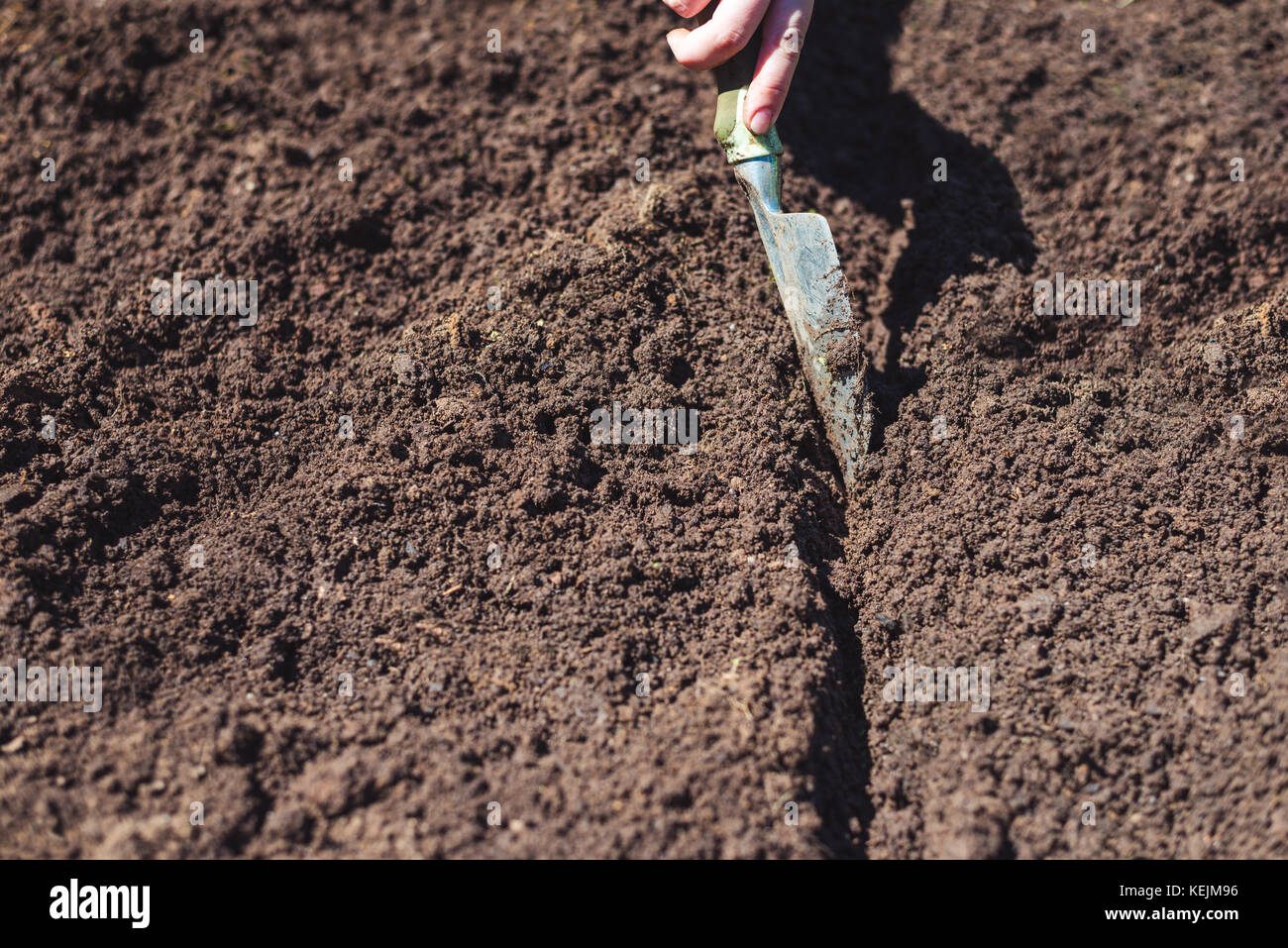 Giardino prepara il terreno di letto per piantare semi Foto Stock
