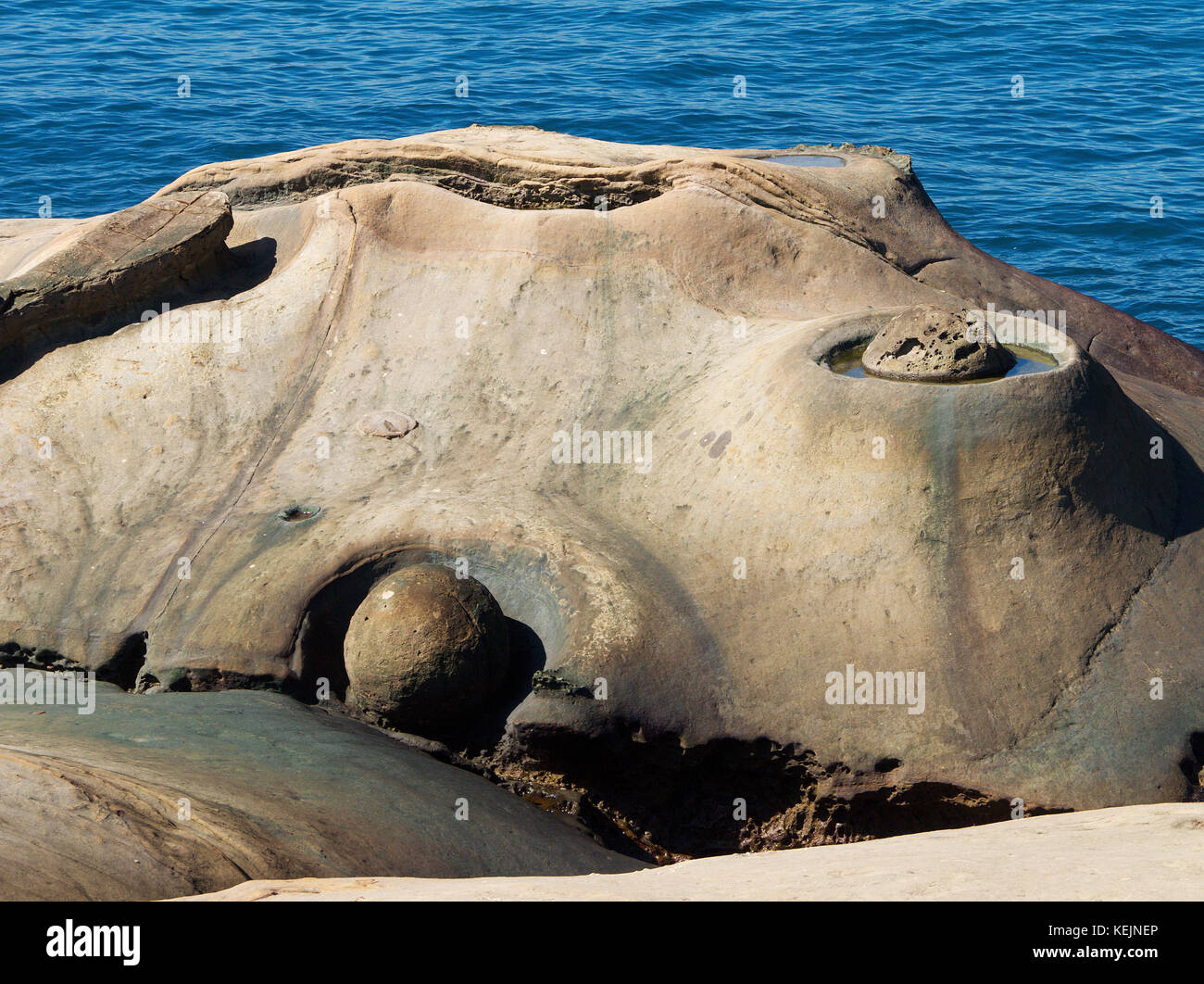 Candele di mare a Yehliu Geopark, Wanli, Taiwan Foto Stock