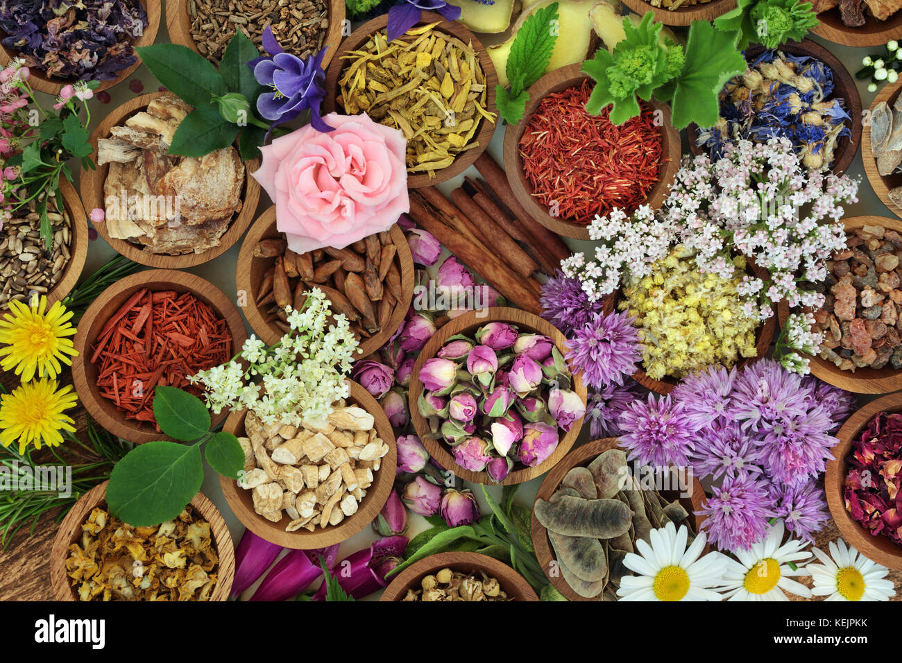 Erbe e fiori utilizzati in medicina di erbe e cinese e naturali rimedi omeopatici sfondo. Foto Stock