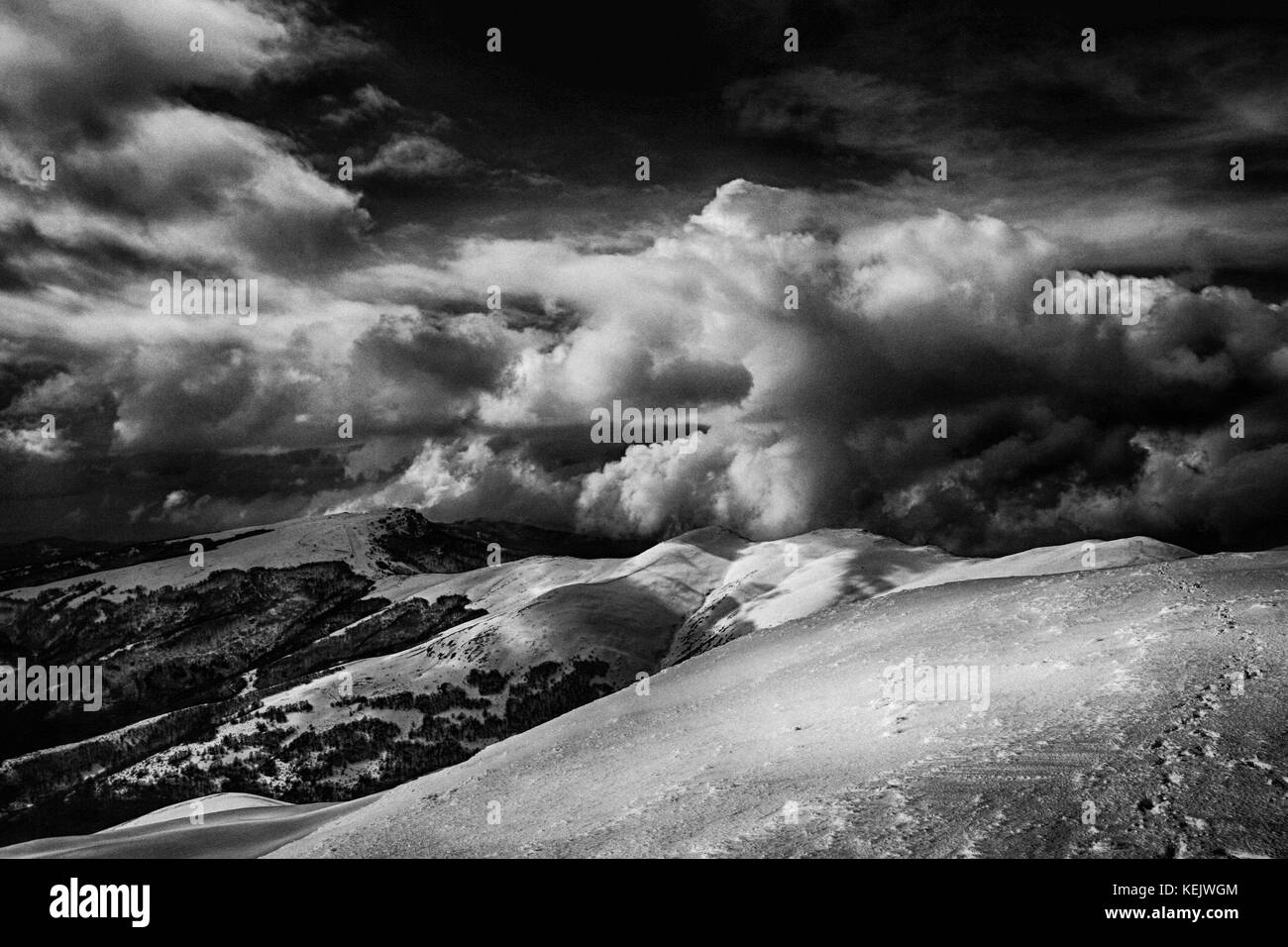 In bianco e nero in inverno Stara Planina, "vecchio" di montagna al confine tra Serbia e Bulgaria Foto Stock