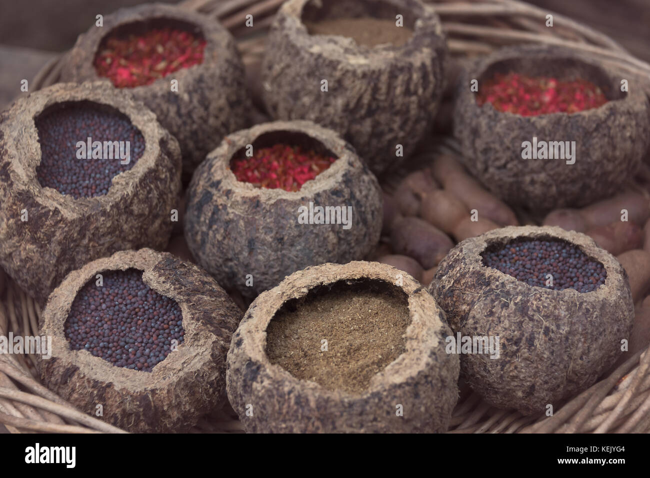Indian erbe e spezie per la cottura nel guscio di noce di cocco in cialde a kew giardini botanici Foto Stock