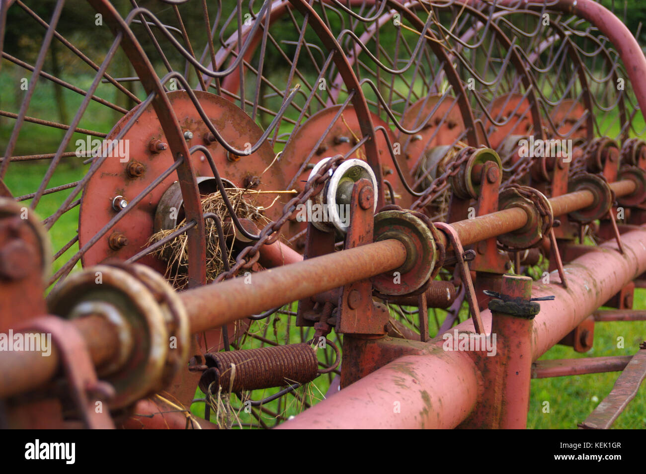 Vecchia macchina agricoltura - rastrello per fieno Foto Stock