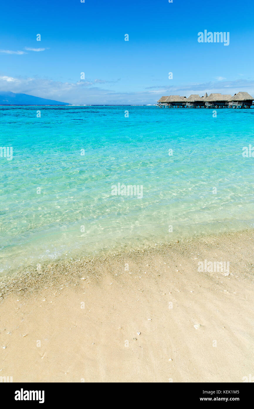 Spiaggia di sabbia con bungalow Overwater in Moorea, Polinesia Francese Foto Stock