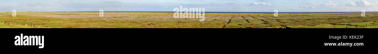 Le saline e il mare di Wadden sull'isola del mare del Nord juist in Frisia orientale, Germania, Europa. Foto Stock