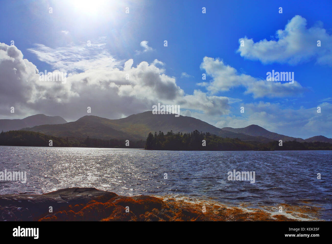 Derreen Gardens, Lauragh, County Kerry, Irlanda - John Gollop Foto Stock