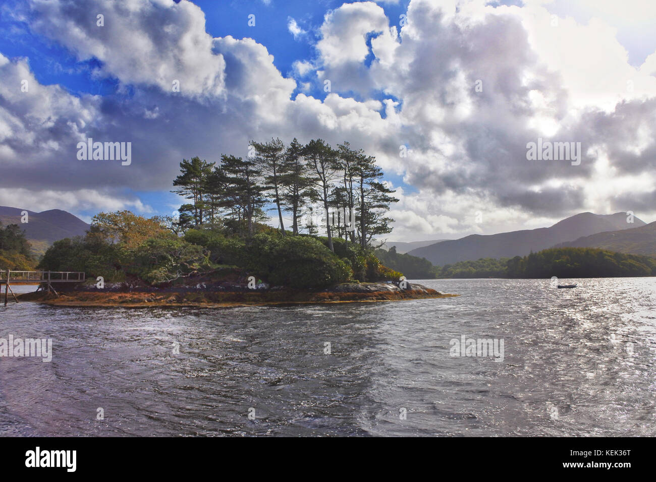 Derreen Gardens, Lauragh, County Kerry, Irlanda - John Gollop Foto Stock