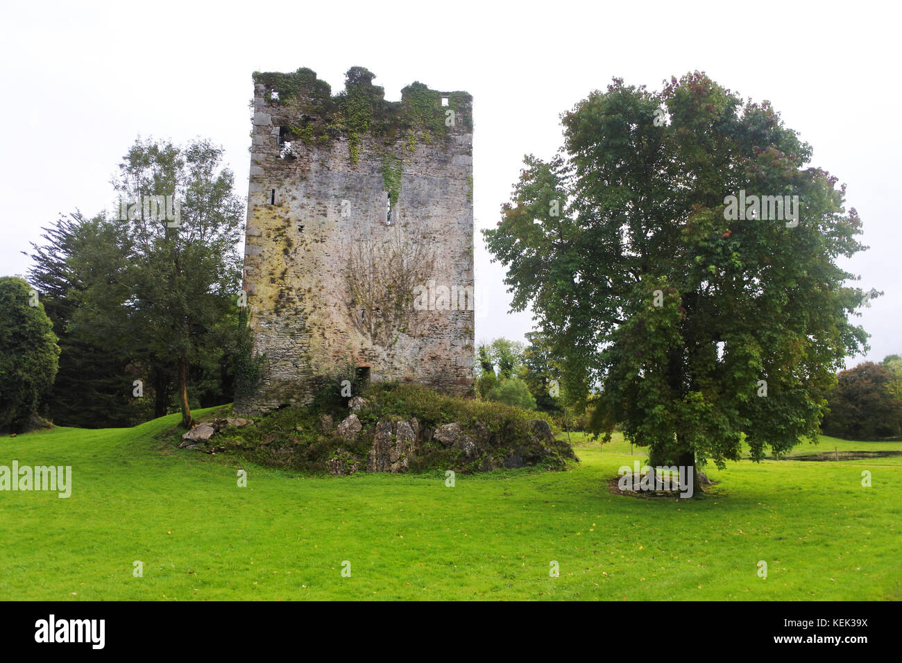 Castello di Dunkerron, Kenmare, Contea di Kerry, Irlanda - John Gollop Foto Stock
