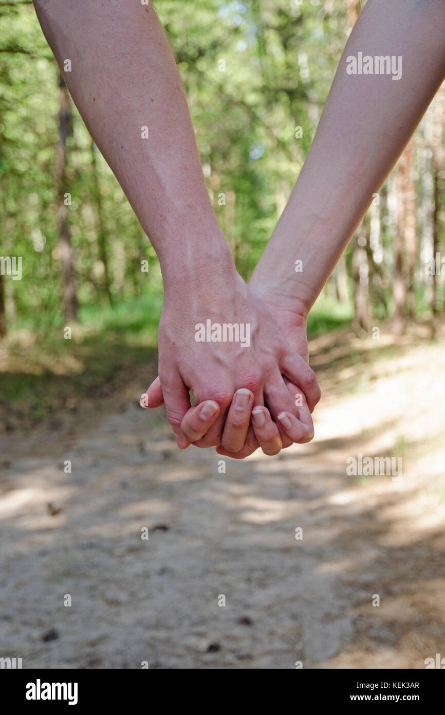 Vista ravvicinata di giovani uomini e donne che tengono le mani dentro la foresta in una giornata estiva Foto Stock
