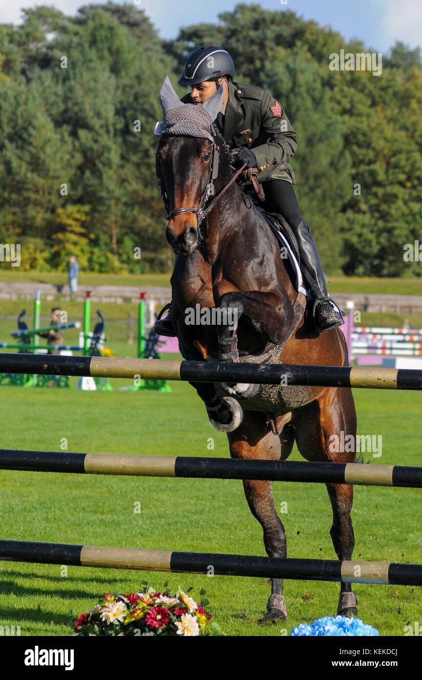 Fontainebleau, Francia. 21 ottobre 2017. Il sergente Ahmad B. Alenzi (Kuwait) è visto al Grand Parquet, a Fontainebleau (Francia), mentre partecipa alla finale del Campionato Mondiale militare di salto. Il Campionato è stato organizzato dal CNSD (Centro Nazionale per lo Sport e la Difesa) e dal CISM (Consiglio Internazionale per lo Sport militare). 29 cavalieri di 9 paesi sono stati invitati a questa Championhip. Credit: Serge Mourret/Alamy Live News Foto Stock