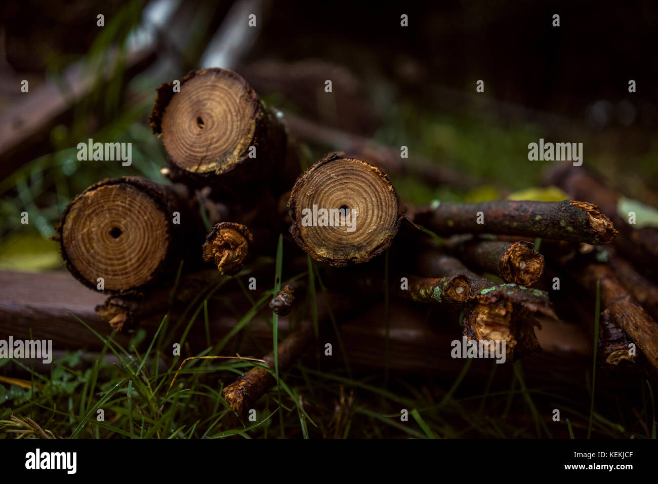 I registri di bagnato all'aperto, vicino fino Foto Stock