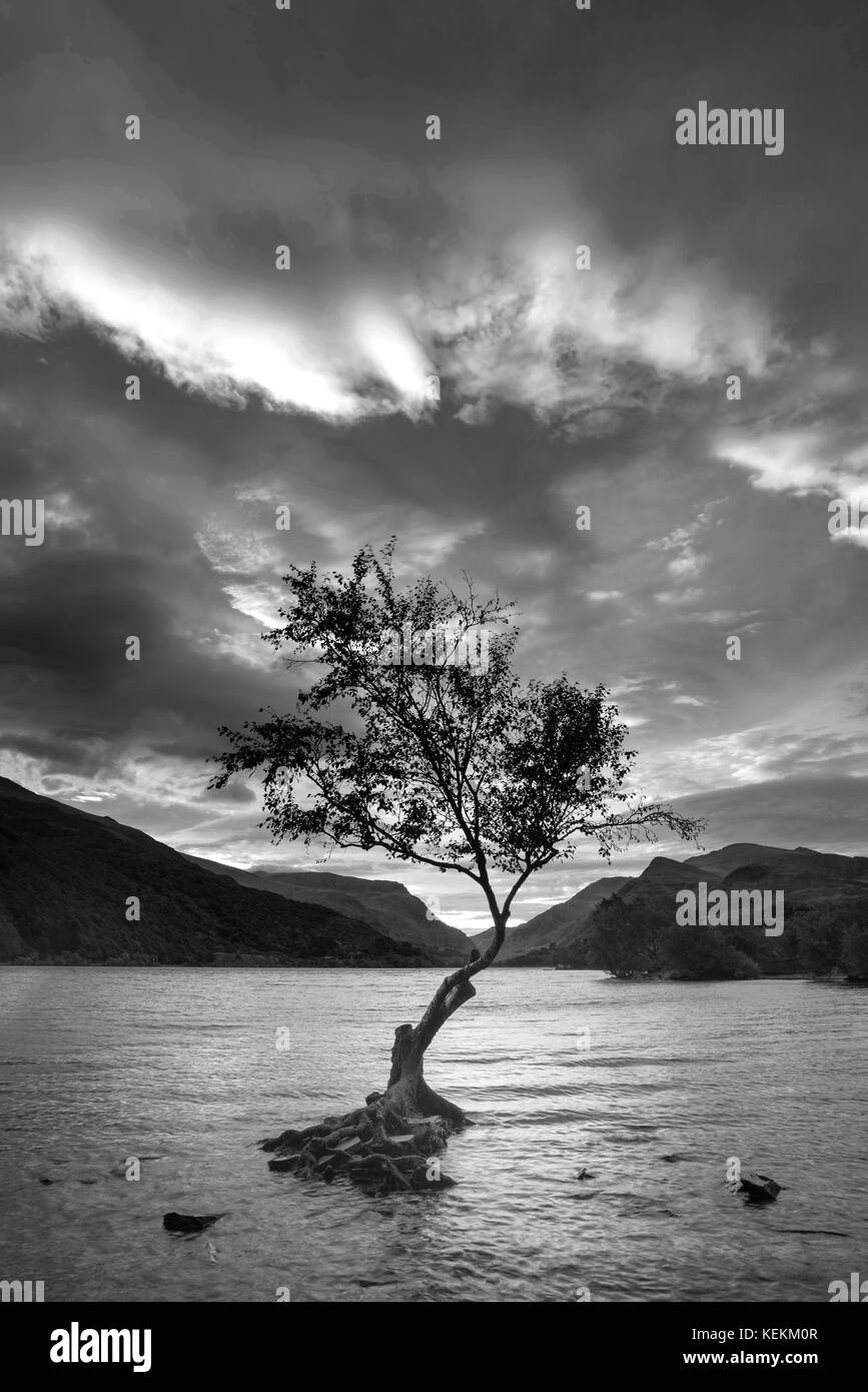 In bianco e nero un bellissimo paesaggio immagine del llyn padarn presso sunrise snowfonia nel parco nazionale Foto Stock