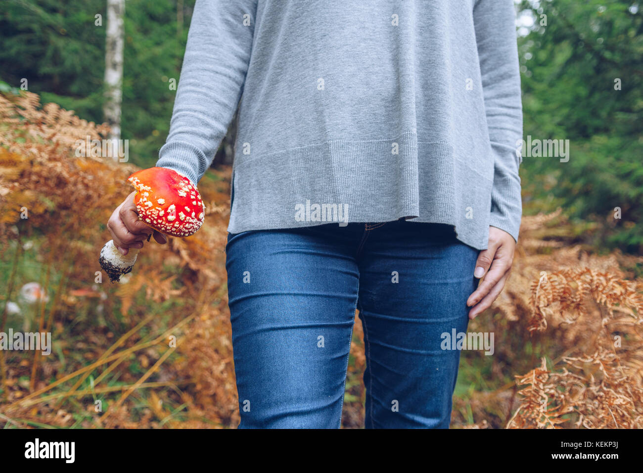 La donna la raccolta di funghi Foto Stock