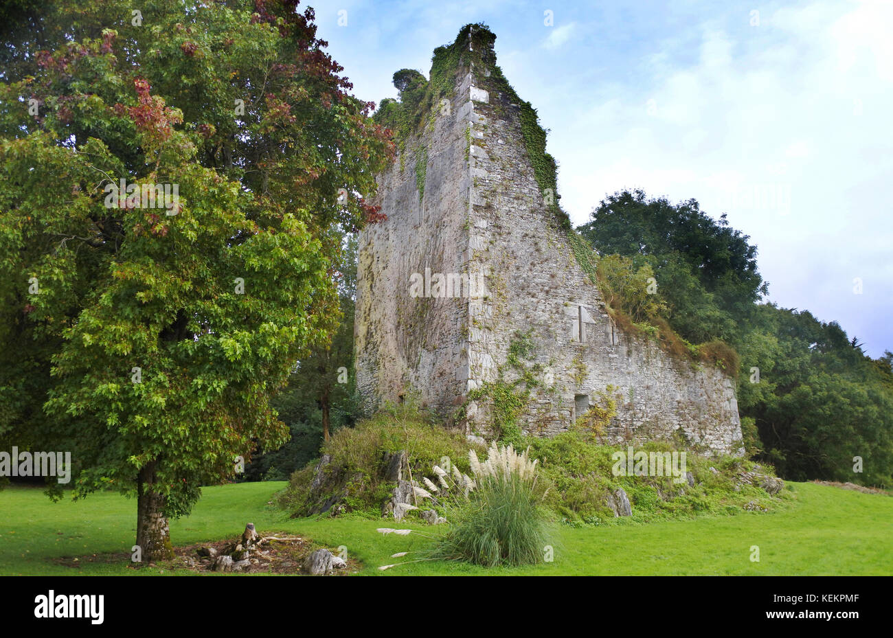 Castello di Dunkerron, Kenmare, Contea di Kerry, Irlanda - John Gollop Foto Stock