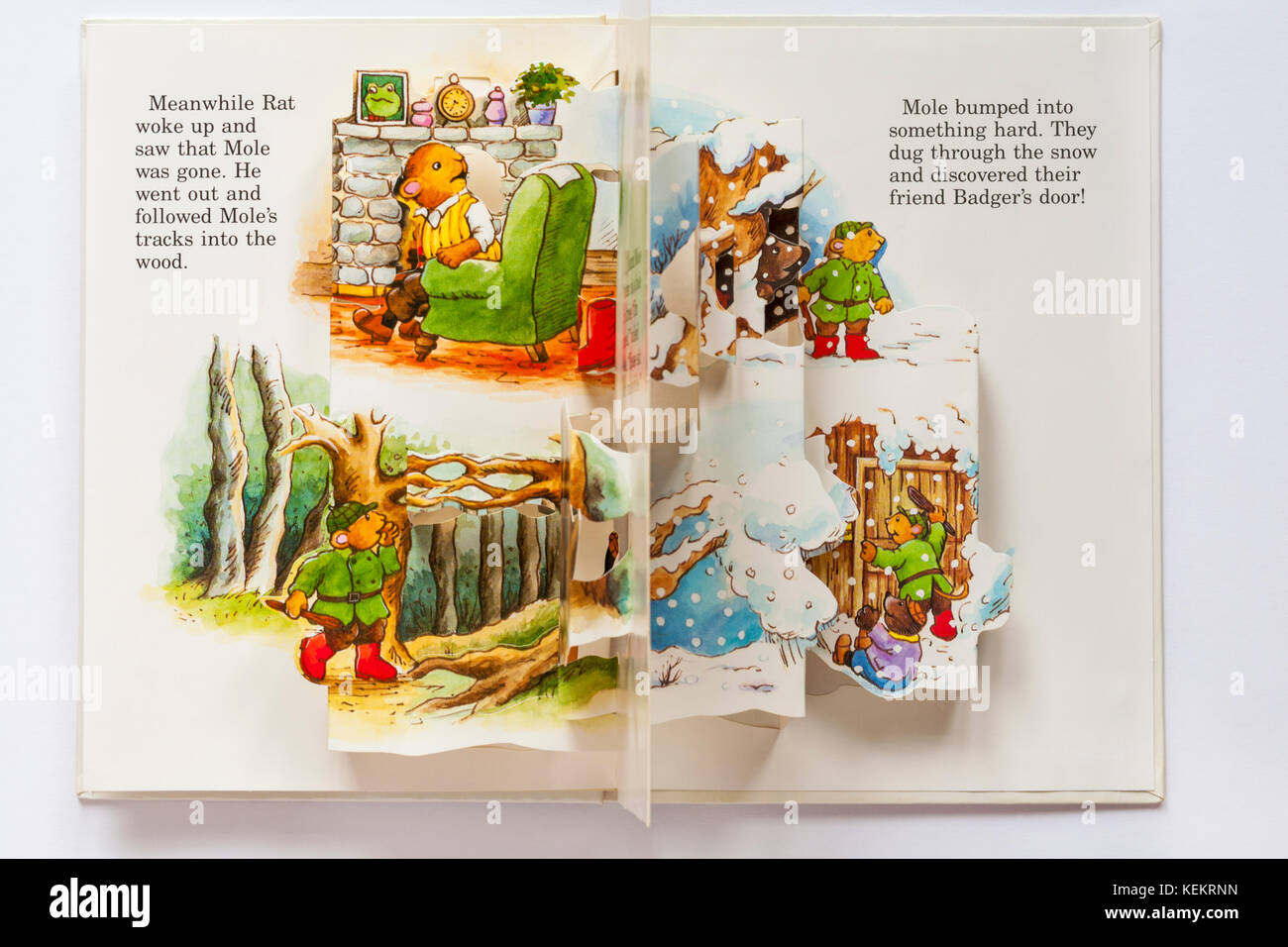 Il vento nei salici il bosco selvatico un pop up libro aperto per mostrare pop up pagine spread - isolato su sfondo bianco Foto Stock