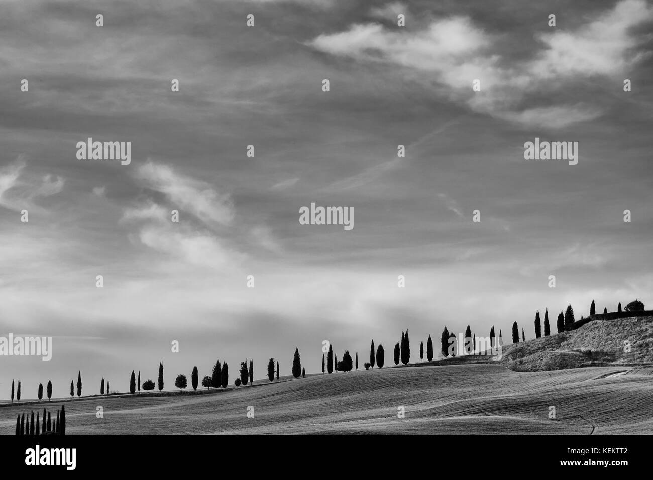 Crete senesi, famoso e caratteristico sulle colline vicino a Siena, Toscana, Italia Foto Stock