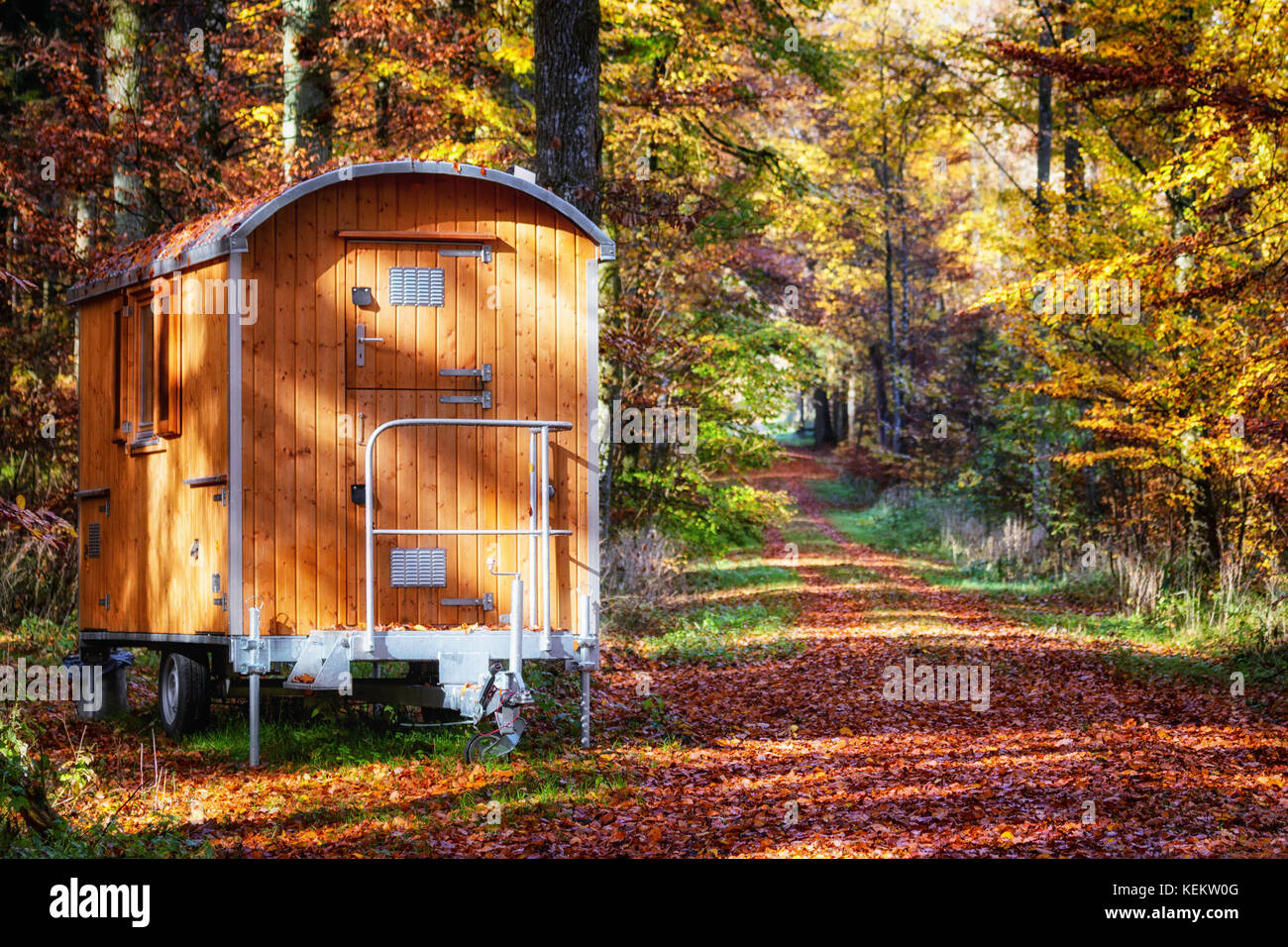 Caravan in legno in piedi accanto alla strada nella foresta di autunno. Foto Stock