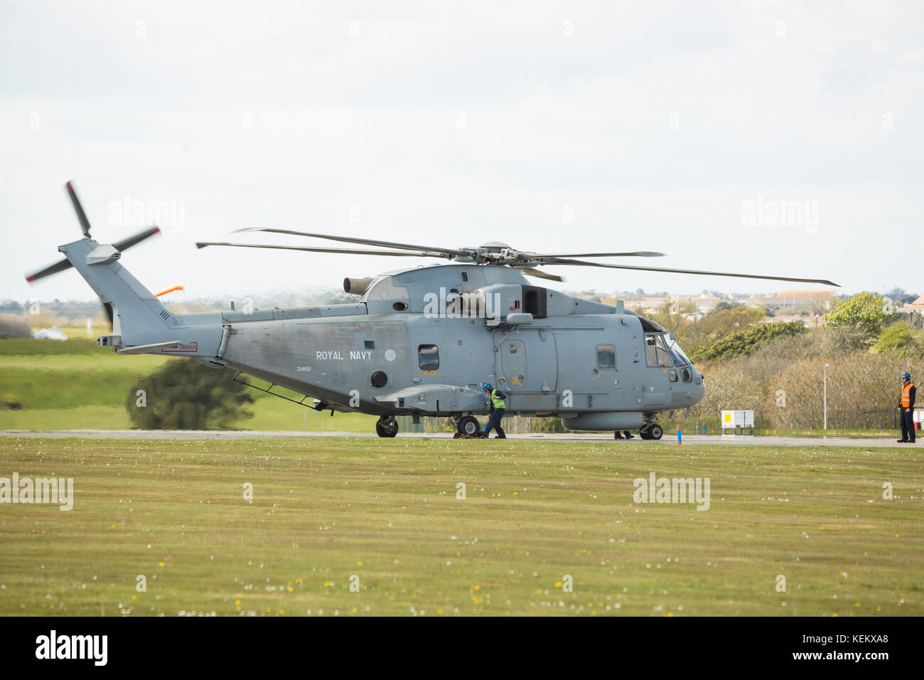 Fleet Air Arm Agusta Westland Merlin HM1 elicottero suolo correndo RNAS Culdrose equipaggio di terra uomo rimozione dei cunei Foto Stock