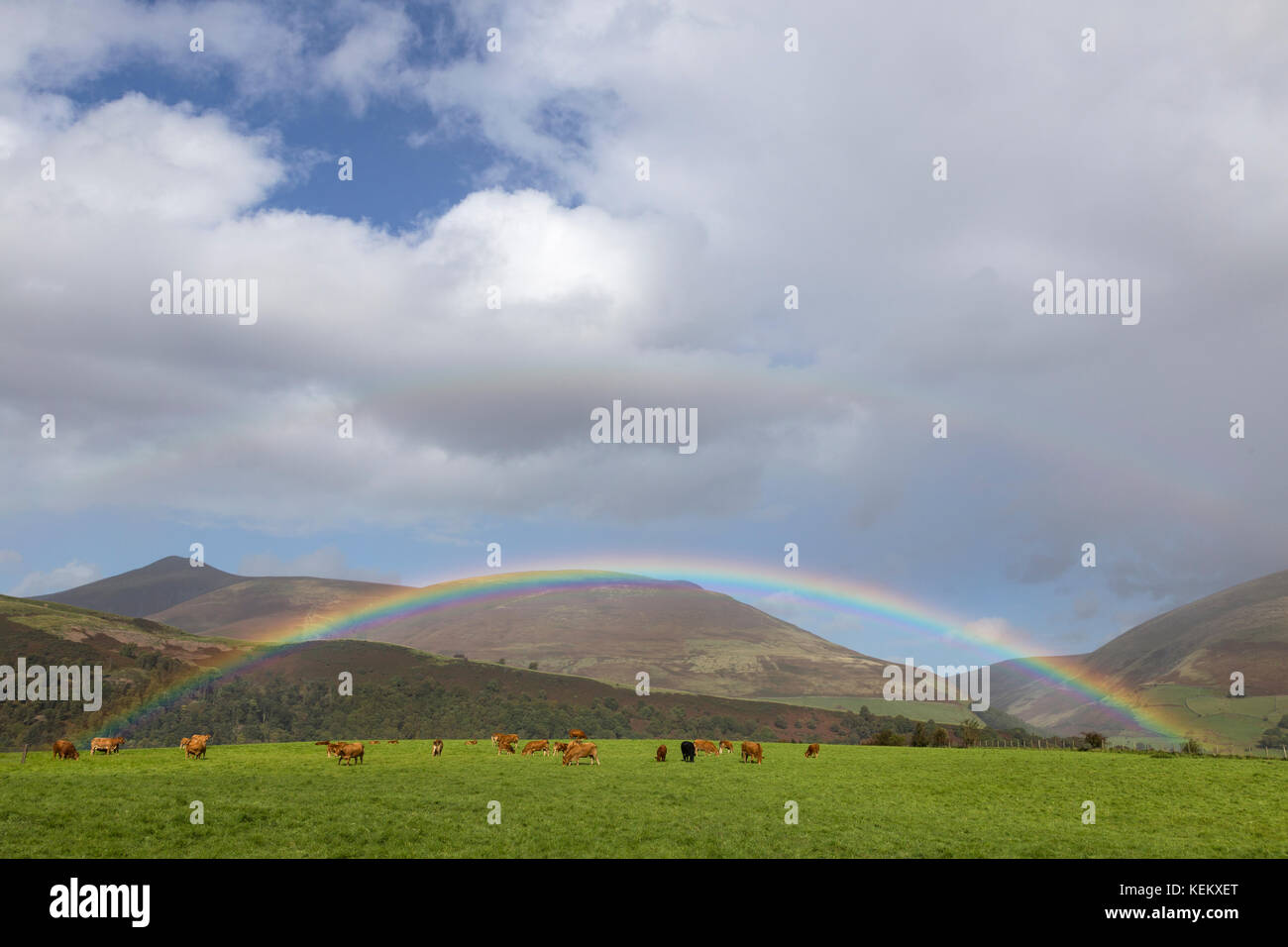 Lake District, Cumbria - un arcobaleno illumina il cielo, con Lonscale Fell e Skiddaw Beyond - visto dalla corsia accanto al cerchio di pietra Castlerigg Foto Stock