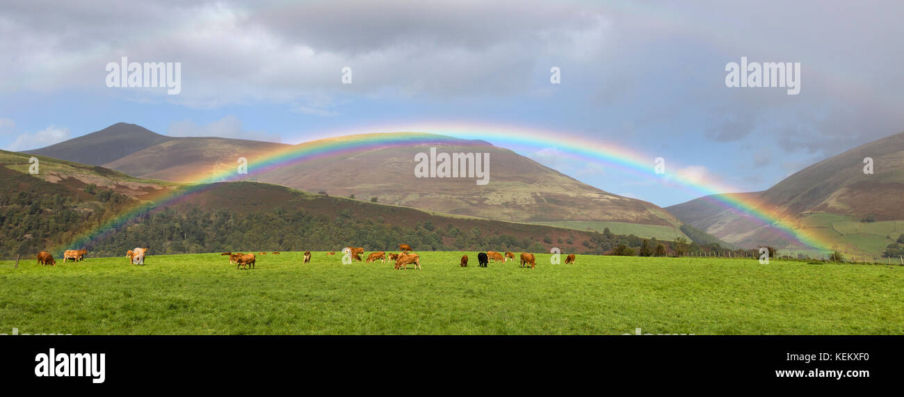 Lake District, Cumbria - un arcobaleno illumina il cielo, con Lonscale Fell e Skiddaw Beyond - visto dalla corsia accanto al cerchio di pietra Castlerigg Foto Stock