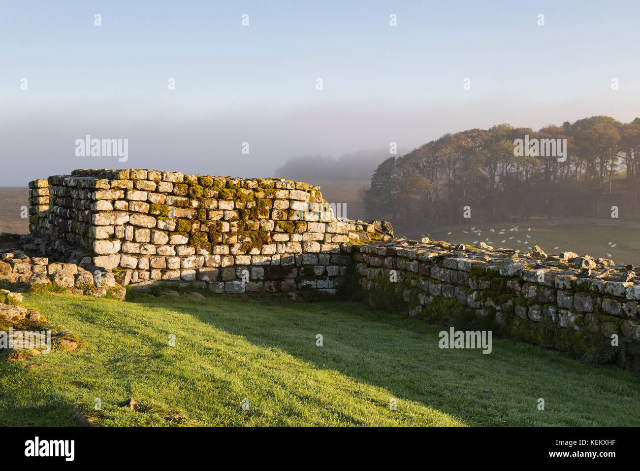 Muro di Adriano - Forte romano delle case galleggianti: I resti della torre di intervallo nord-est Foto Stock